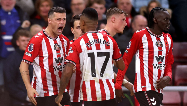 แมวดำน้องใหม่